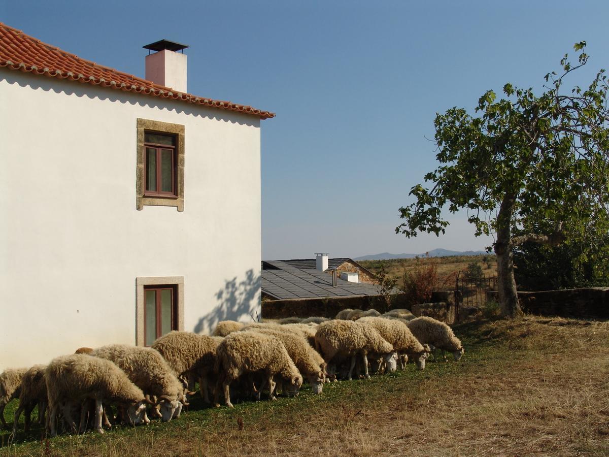 Santa Maria de ÉmeresQuinta Da Alagoa别墅 外观 照片