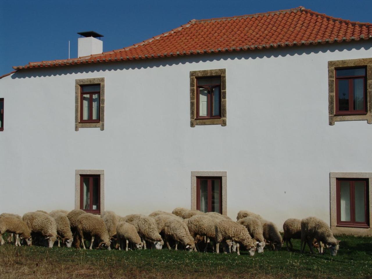 Santa Maria de ÉmeresQuinta Da Alagoa别墅 外观 照片